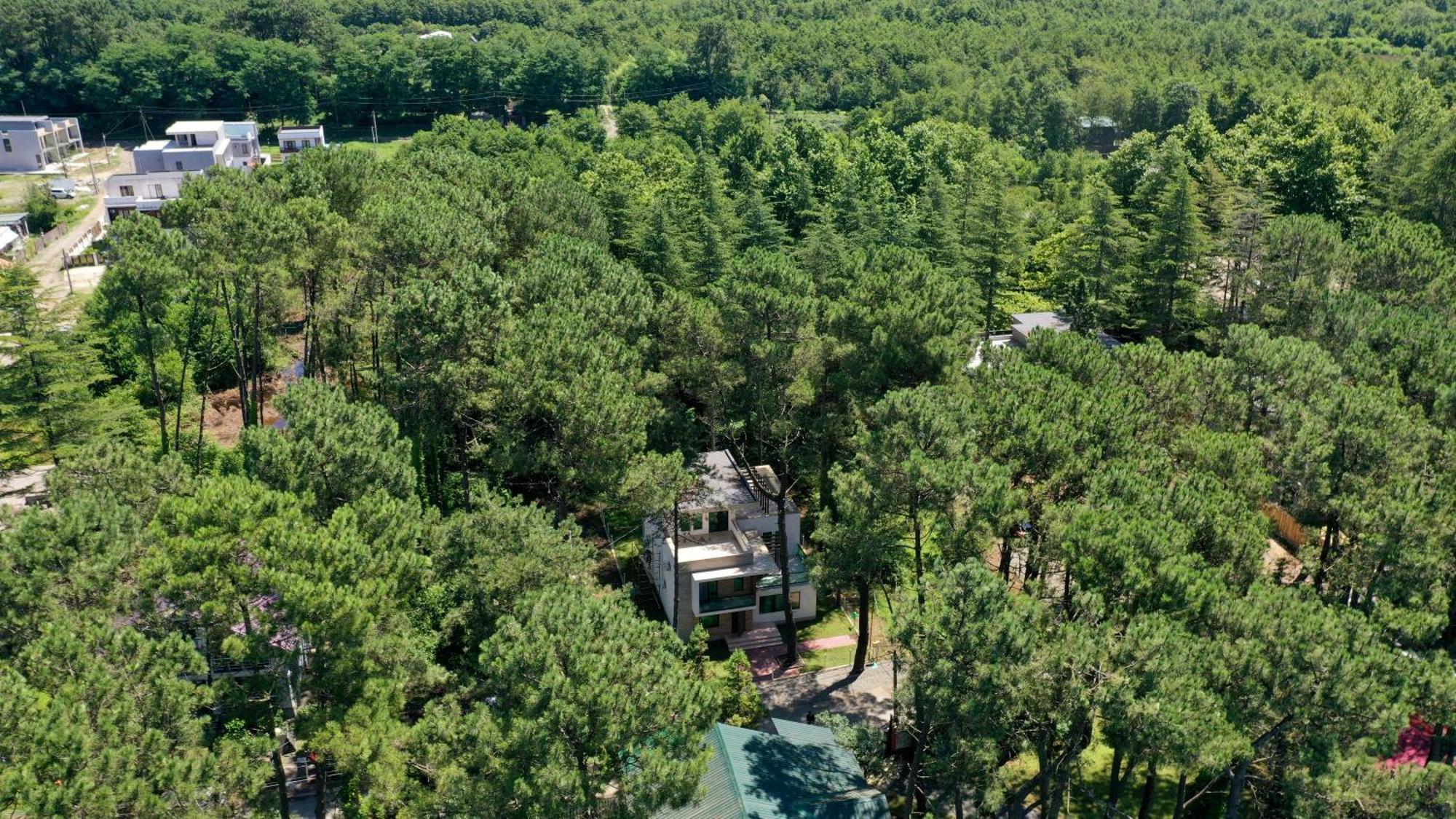 Pine Aparthotel Шекветили Экстерьер фото