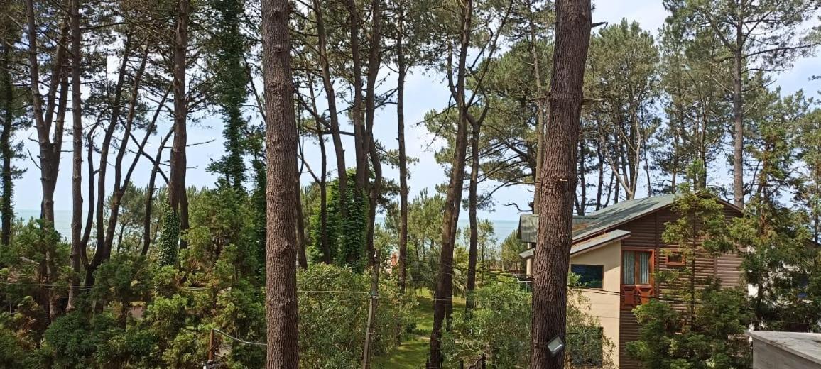 Pine Aparthotel Шекветили Экстерьер фото